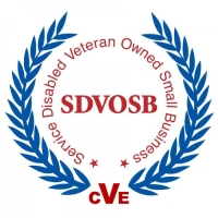 SDVOSB-200w